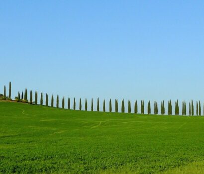 Tuscan Paradise